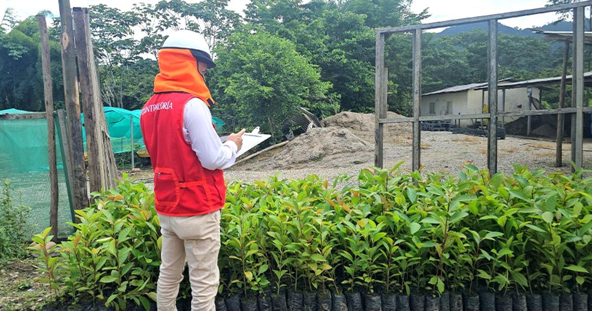 Advierten riesgos en proyecto de recuperación de bosques en Bagua y Condorcanqui