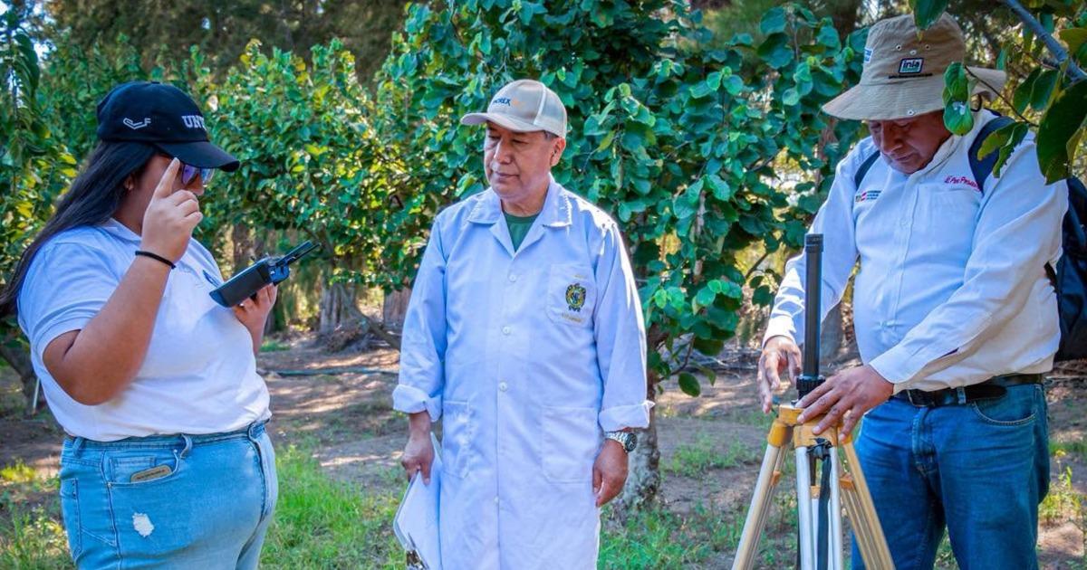 UNTRM impulsa la agricultura de precisión para el maíz amiláceo